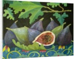 Figs on black, 2014 by Jennifer Abbott