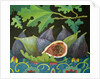 Figs on black, 2014 by Jennifer Abbott