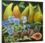 Mixed fruit, 2013 by Jennifer Abbott