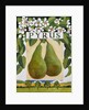 Pyrus, 2014 by Jennifer Abbott