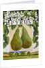 Pyrus, 2014 by Jennifer Abbott