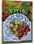 Vitus, 2014 by Jennifer Abbott