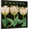 Tulips, 2013 by Jennifer Abbott