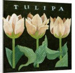 Tulips, 2013 by Jennifer Abbott