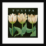 Tulips, 2013 by Jennifer Abbott