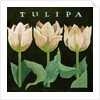 Tulips, 2013 by Jennifer Abbott
