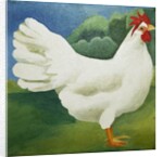 Cockerel, 2013 by Jennifer Abbott