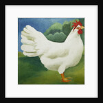 Cockerel, 2013 by Jennifer Abbott