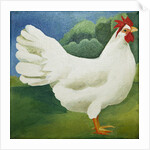 Cockerel, 2013 by Jennifer Abbott