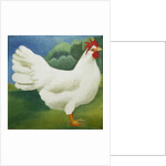 Cockerel, 2013 by Jennifer Abbott