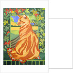 Cat 1, 2014 by Jennifer Abbott