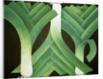 Leeks, 2014 by Jennifer Abbott