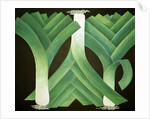 Leeks, 2014 by Jennifer Abbott