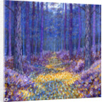 Blue Forest 2, 2012 by David Newton