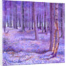 Purple Forest 2, 2012 by David Newton