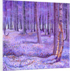 Purple Forest 2, 2012 by David Newton