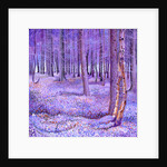 Purple Forest 2, 2012 by David Newton