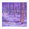 Purple Forest 2, 2012 by David Newton