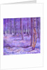 Purple Forest 2, 2012 by David Newton