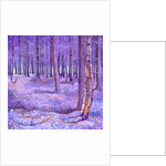 Purple Forest 2, 2012 by David Newton