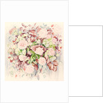 Wedding flowers, 2011 by Alison Cooper