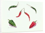Chillies and Peppers, 2005 by Alison Cooper