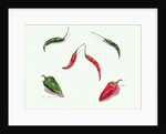 Chillies and Peppers, 2005 by Alison Cooper