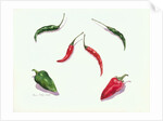 Chillies and Peppers, 2005 by Alison Cooper