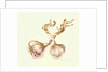 Garlic bulbs, 2005 by Alison Cooper