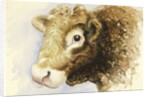 Adam the Bull, 2016 by Alison Cooper