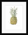 Ripe Pineapple, watercolour by Alison Cooper