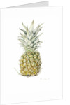 Ripe Pineapple, watercolour by Alison Cooper