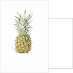 Ripe Pineapple, watercolour by Alison Cooper