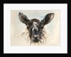 Hello Ewe, 2016 by Alison Cooper
