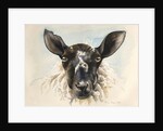 Hello Ewe, 2016 by Alison Cooper