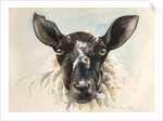 Hello Ewe, 2016 by Alison Cooper