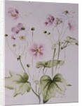Hellebores, 1990 by Alison Cooper