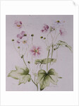 Hellebores, 1990 by Alison Cooper