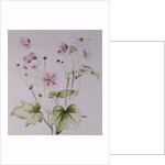 Hellebores, 1990 by Alison Cooper