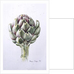 Artichoke Study, 1993 by Alison Cooper