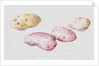 Potato Study, 1993 by Alison Cooper
