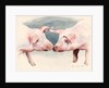 Two Little Piggies, 2012 by Alison Cooper
