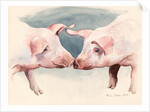 Two Little Piggies, 2012 by Alison Cooper