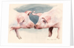 Two Little Piggies, 2012 by Alison Cooper