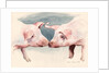 Two Little Piggies, 2012 by Alison Cooper