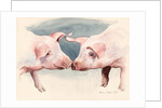 Two Little Piggies, 2012 by Alison Cooper