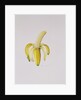A Half-peeled Banana, 1997 by Alison Cooper