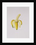 A Half-peeled Banana, 1997 by Alison Cooper