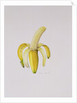 A Half-peeled Banana, 1997 by Alison Cooper