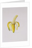 A Half-peeled Banana, 1997 by Alison Cooper